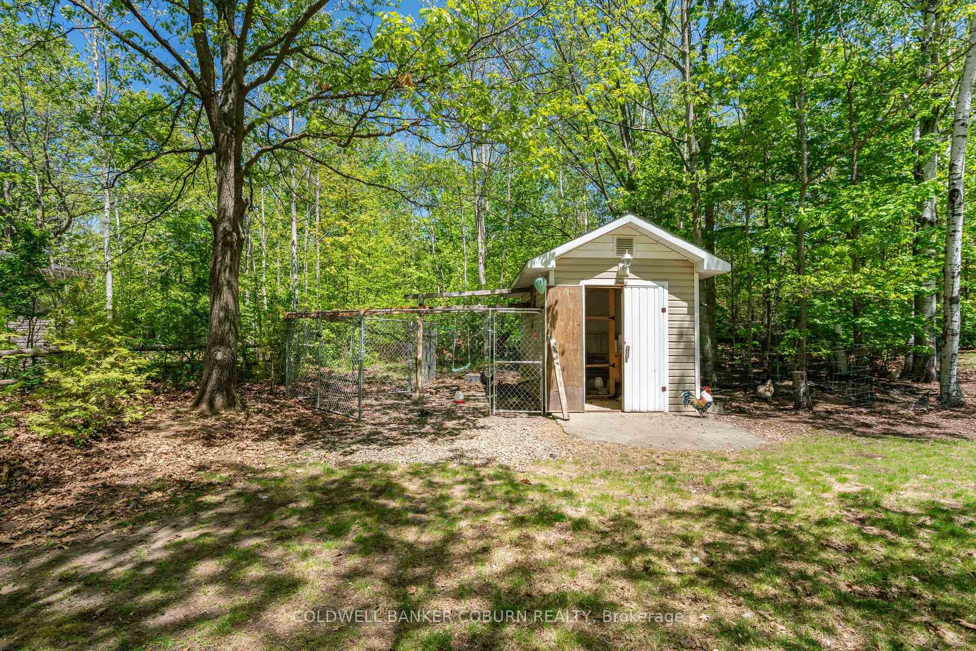 chicken coop and shed