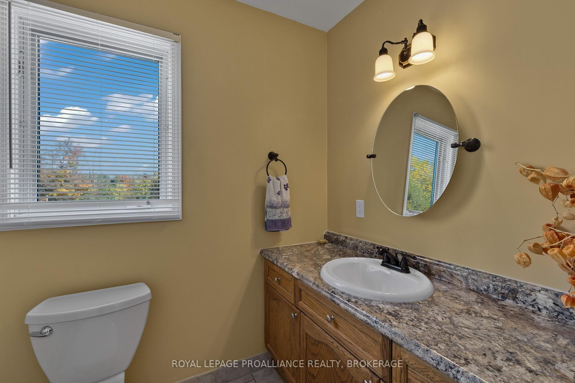 270 Mount Chesney Road photo 17