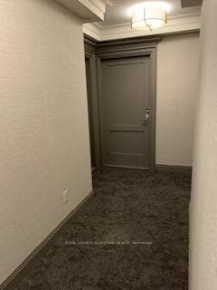 30 Elm Drive Unit 2504 photo 27