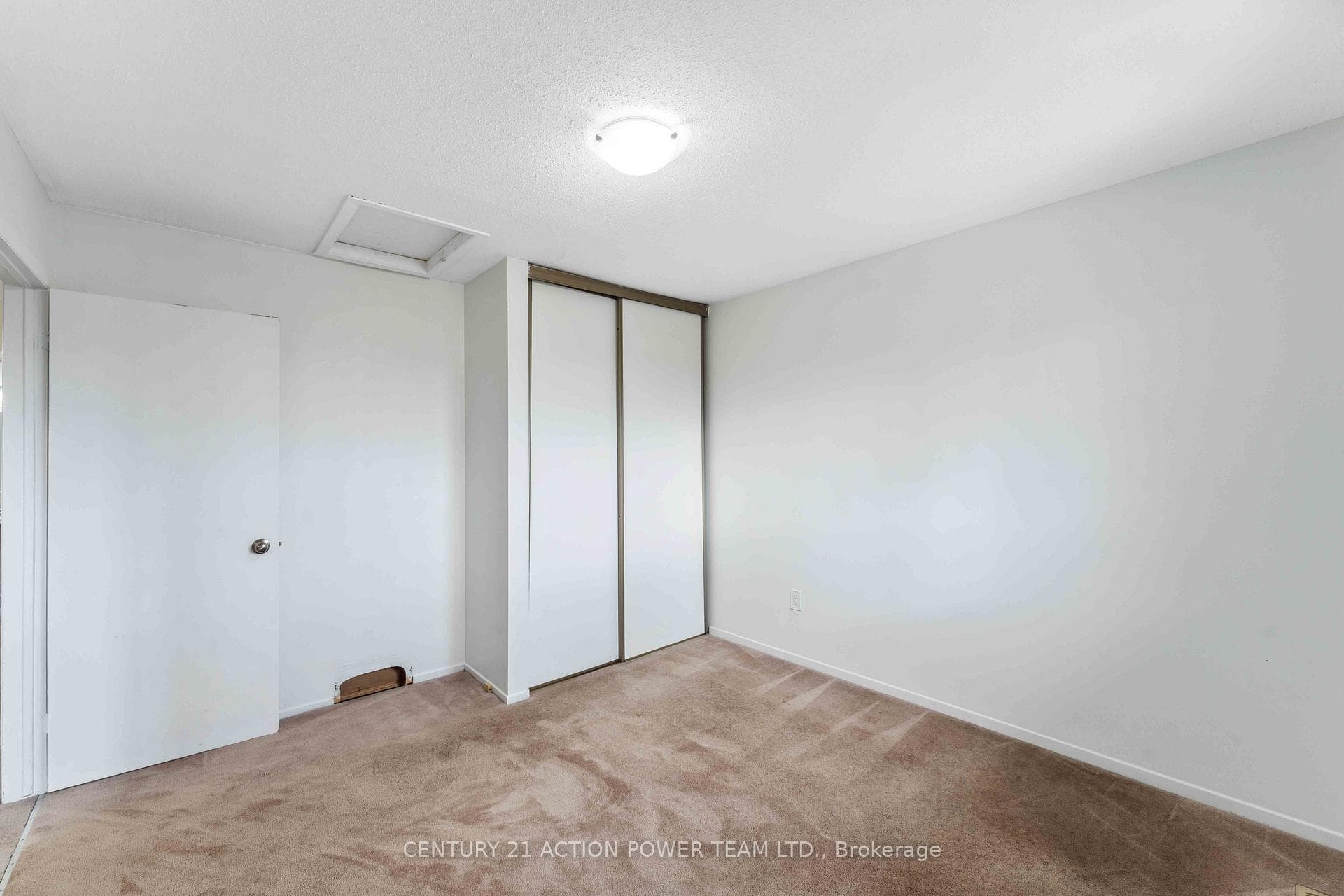 newer carpet