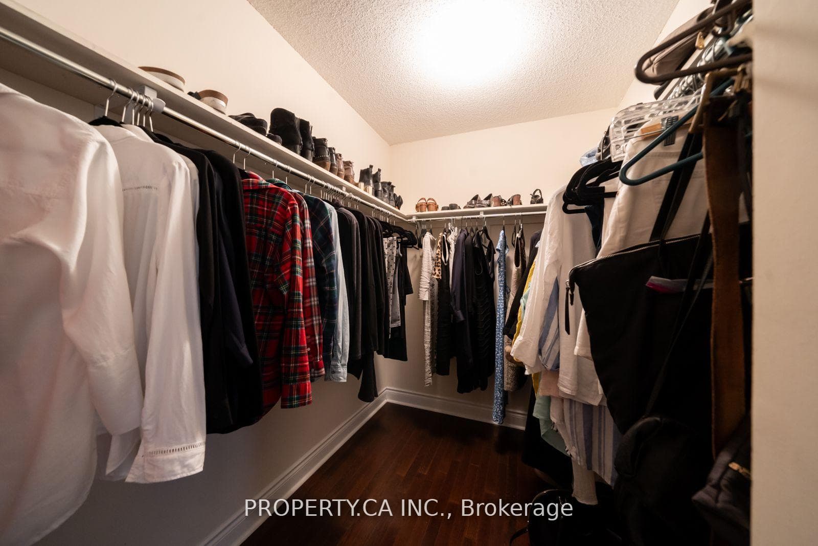 50 Routliffe Lane photo 25